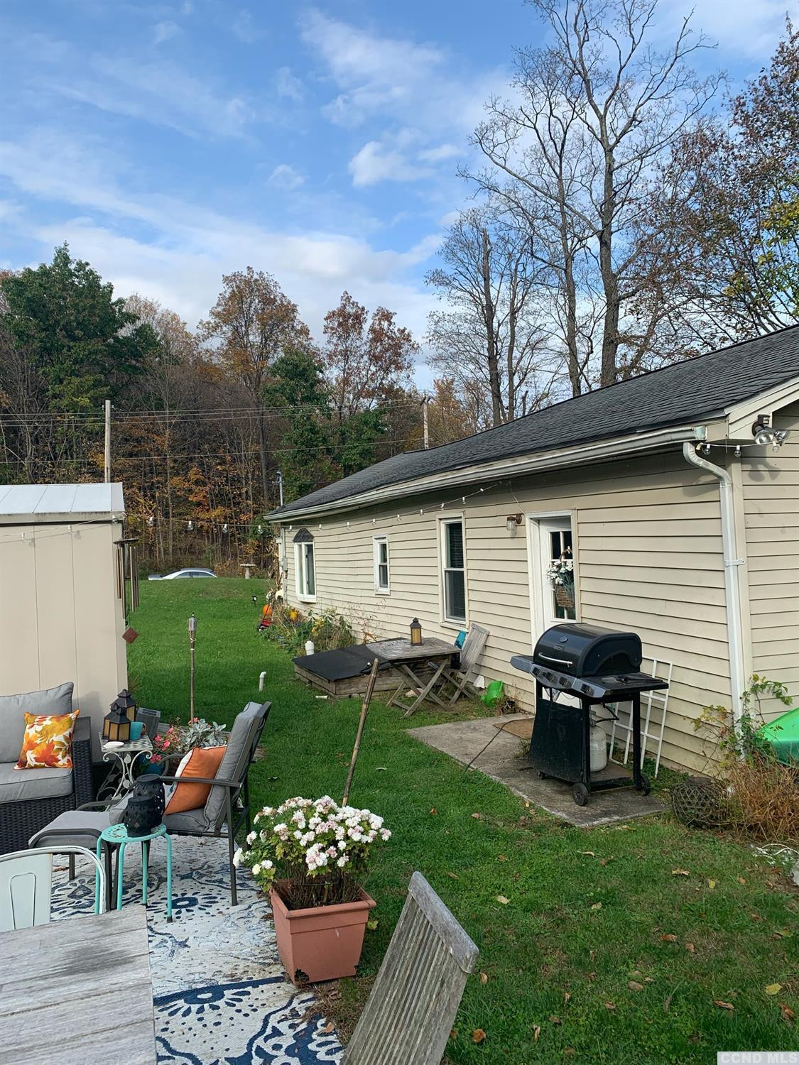 81 Cauterskill Avenue