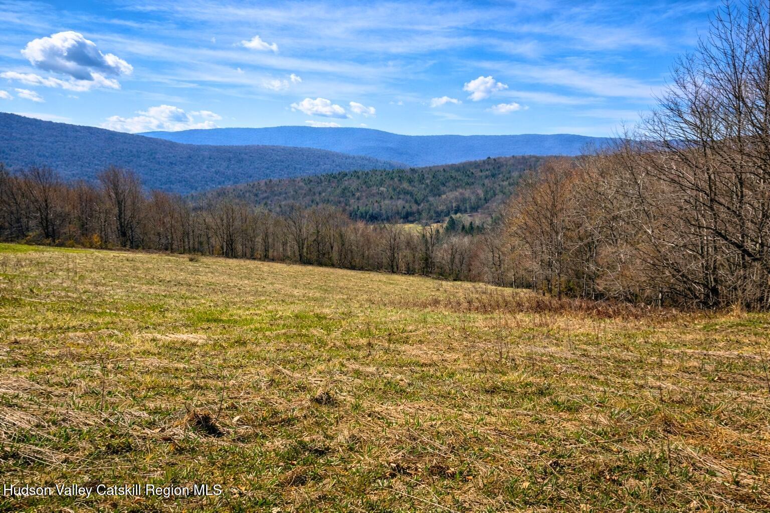 Tbd Hogg Mountain Road