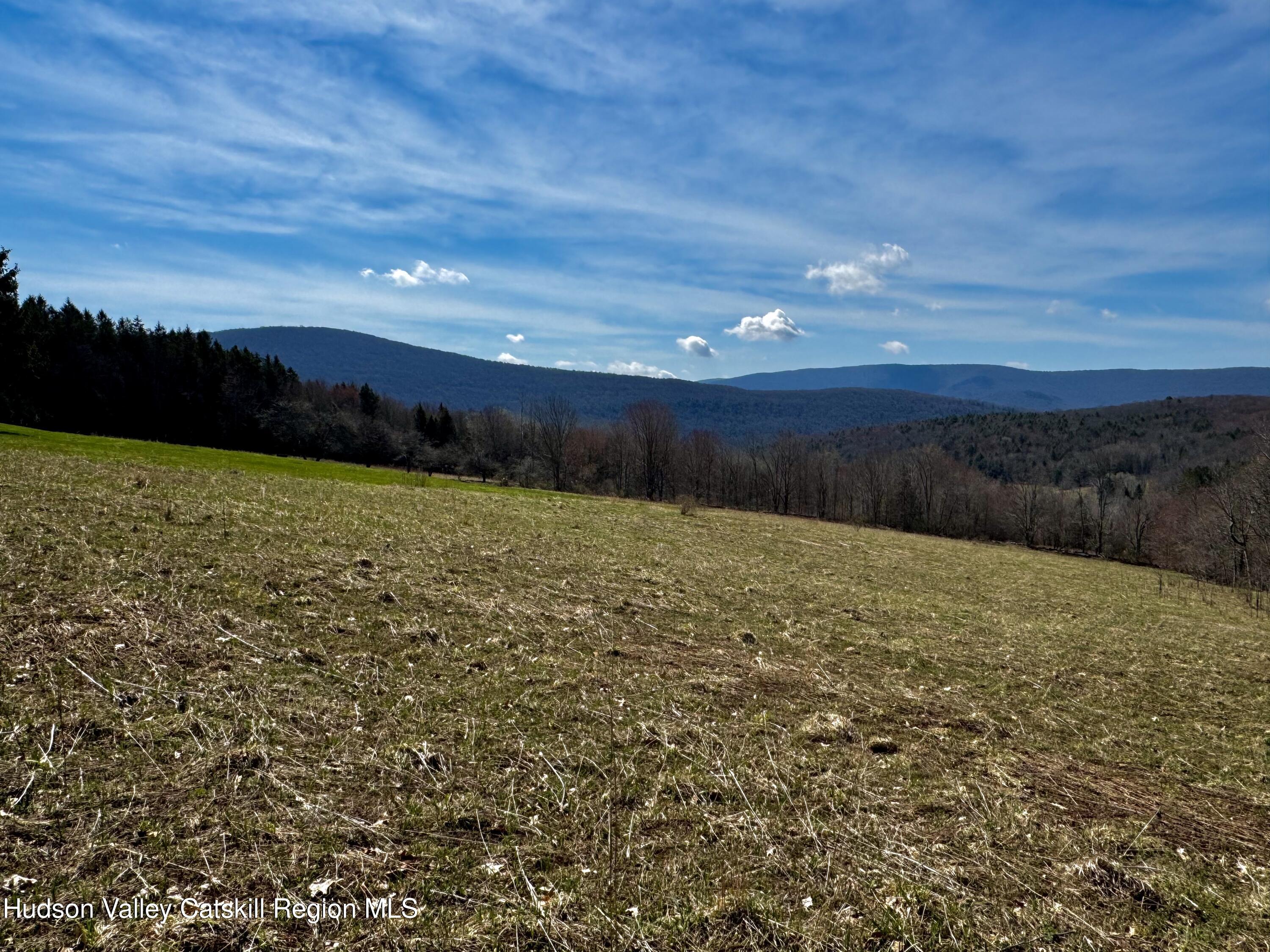 Tbd Hogg Mountain Road