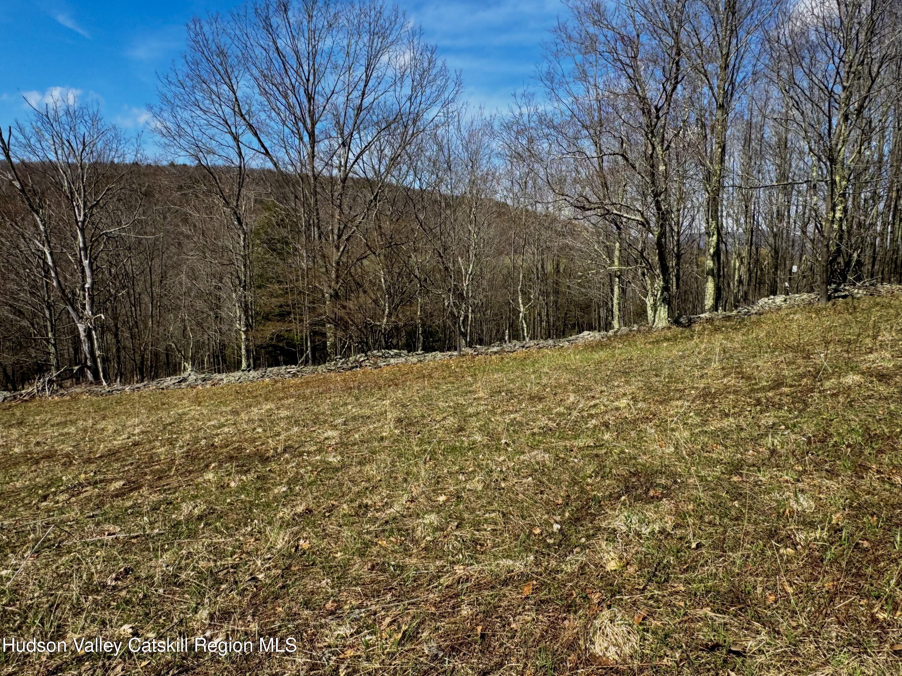 Tbd Hogg Mountain Road
