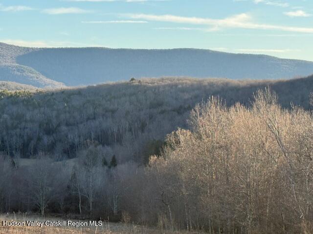 Tbd Hogg Mountain Road
