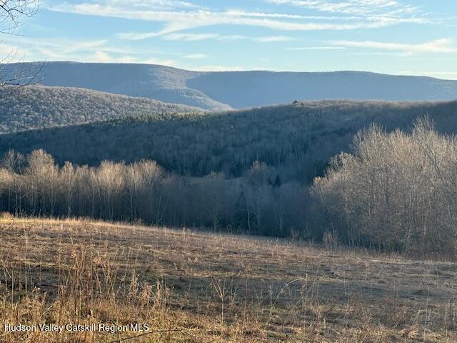 Tbd Hogg Mountain Road