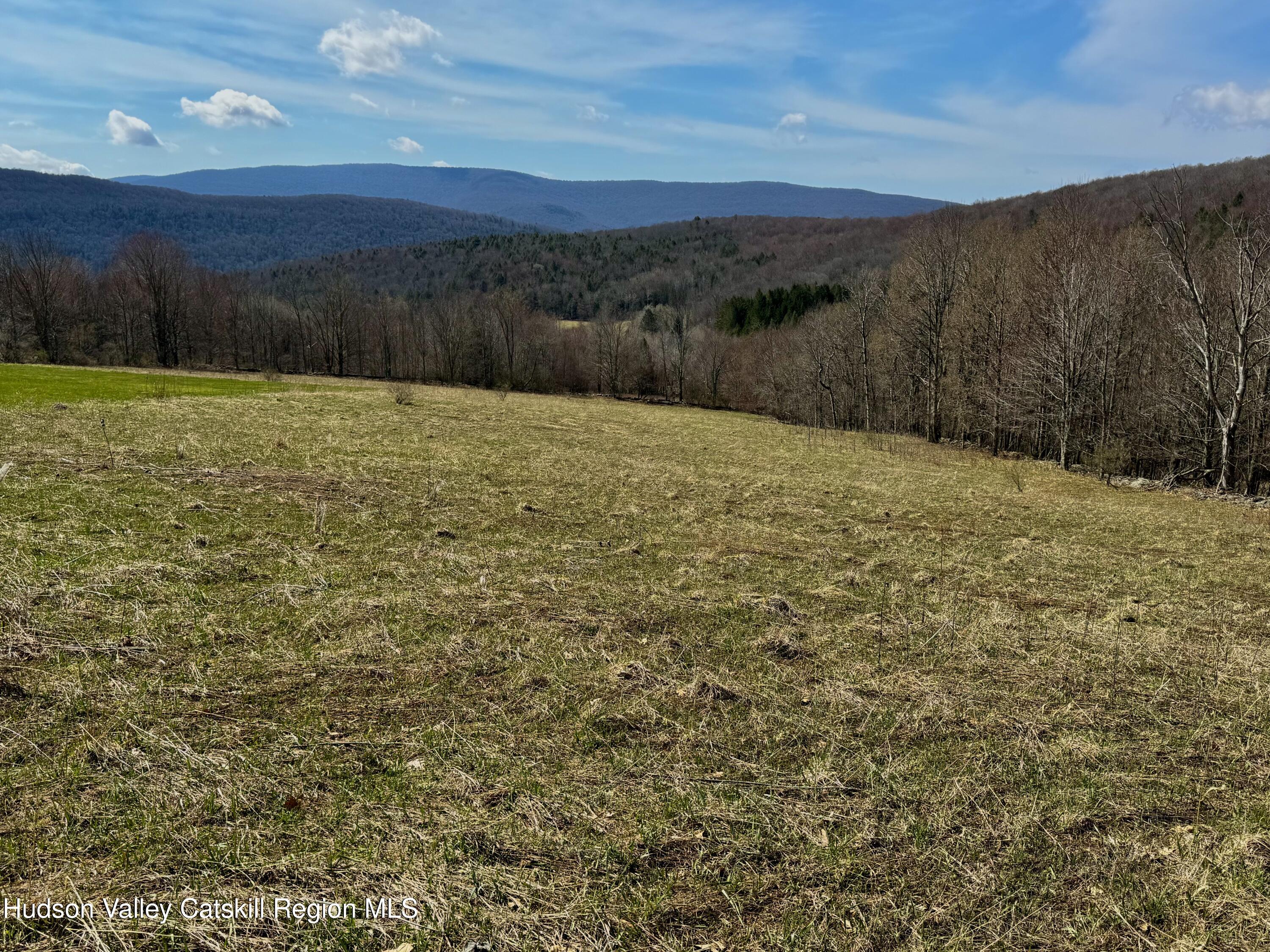 Tbd Hogg Mountain Road