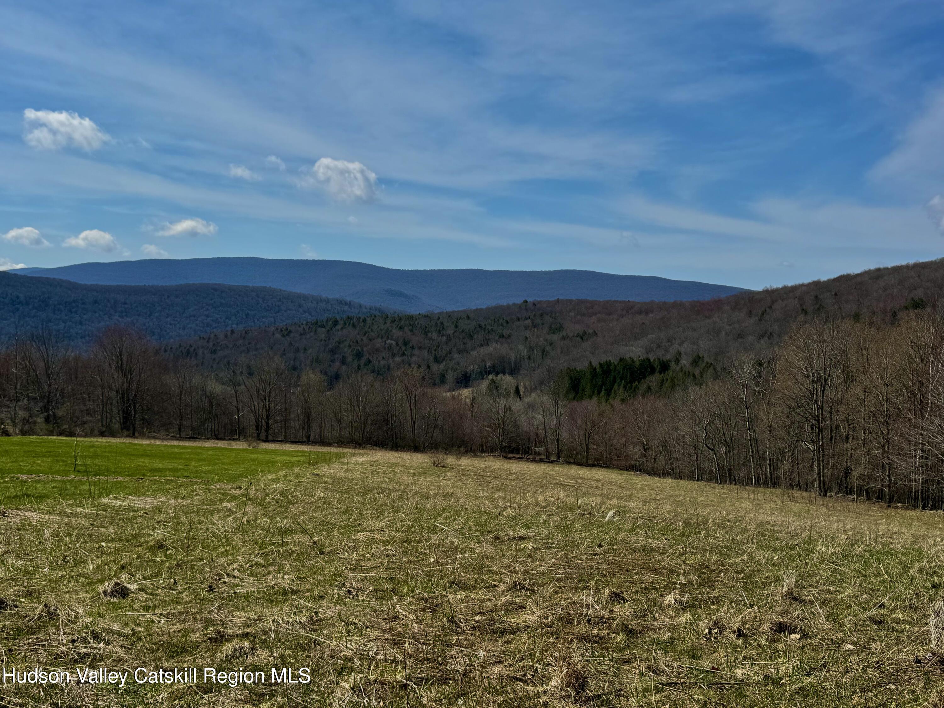 Tbd Hogg Mountain Road