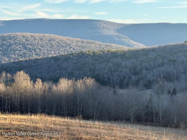 Tbd Hogg Mountain Road