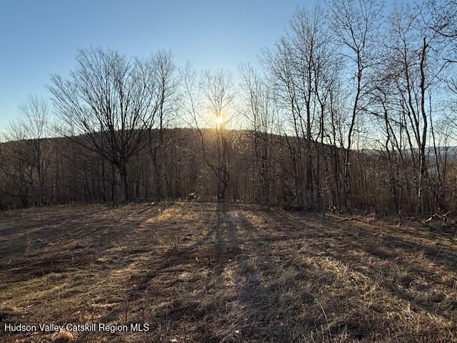 Tbd Hogg Mountain Road