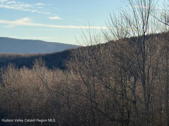 Tbd Hogg Mountain Road