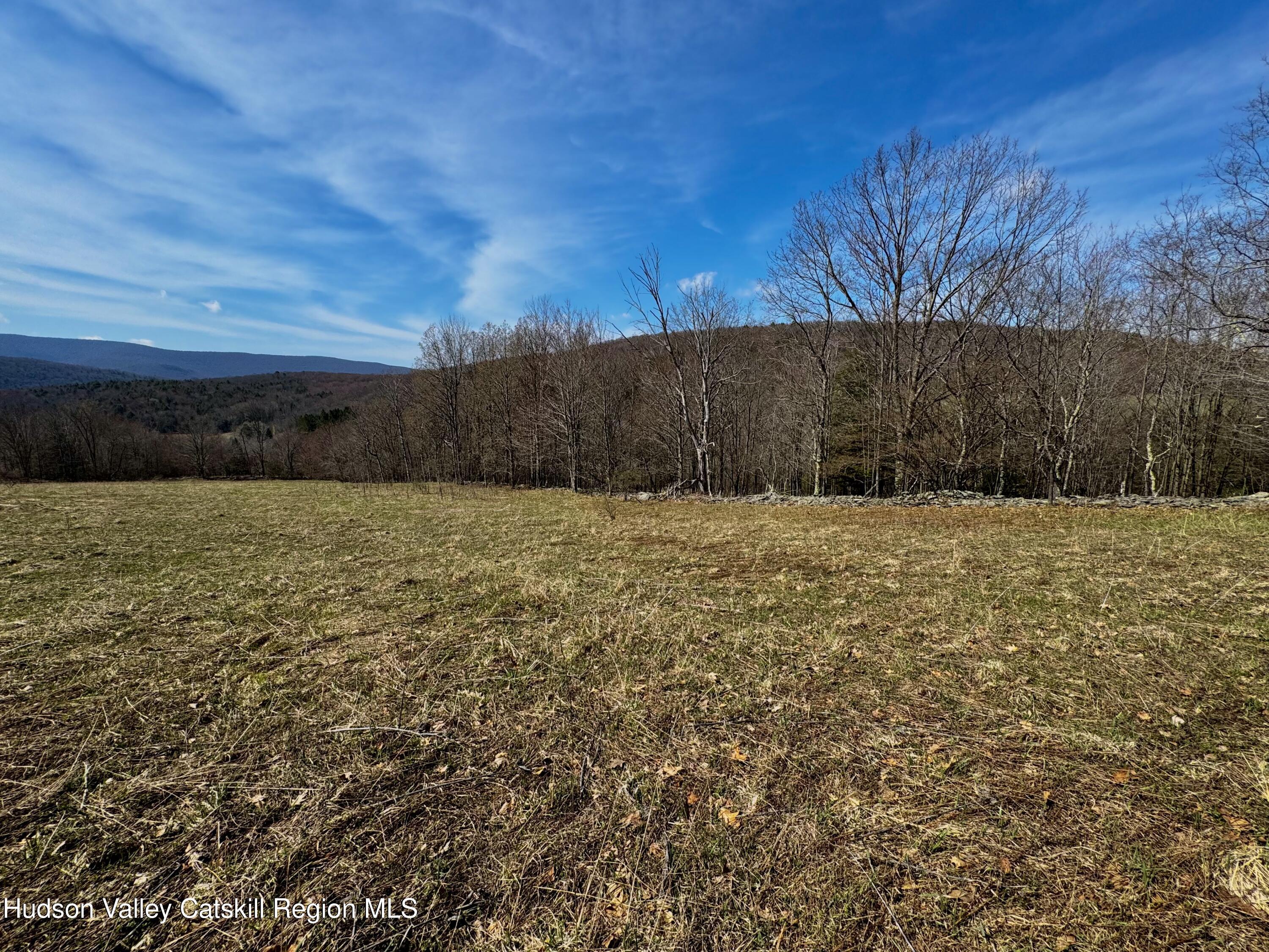 Tbd Hogg Mountain Road