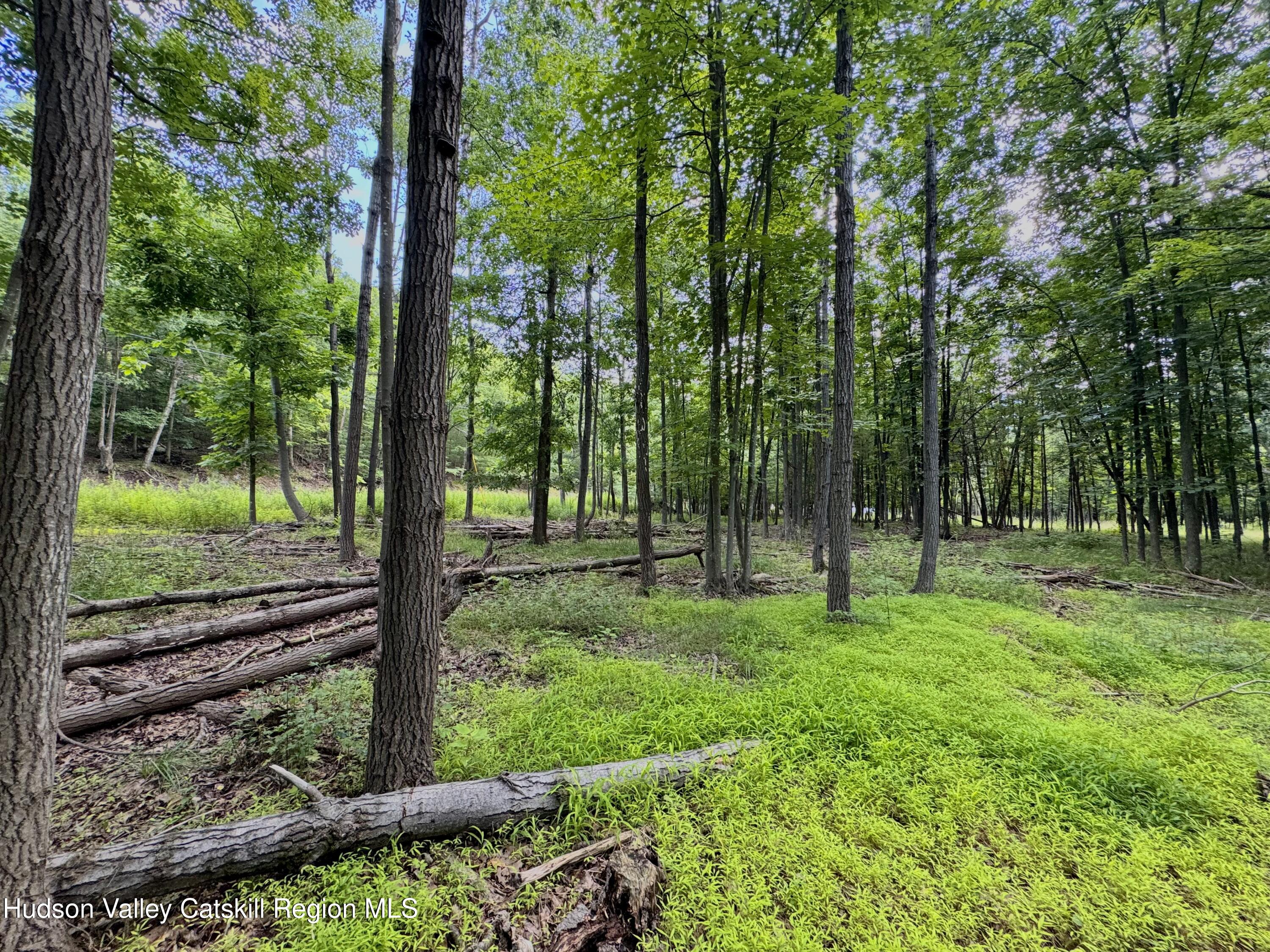 334 Pollys Rock Road
