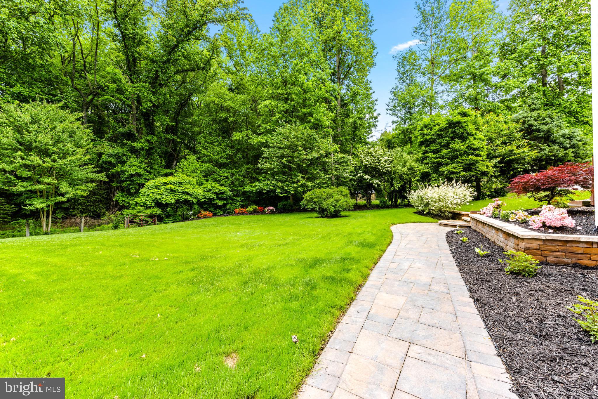619 Dillon Ct