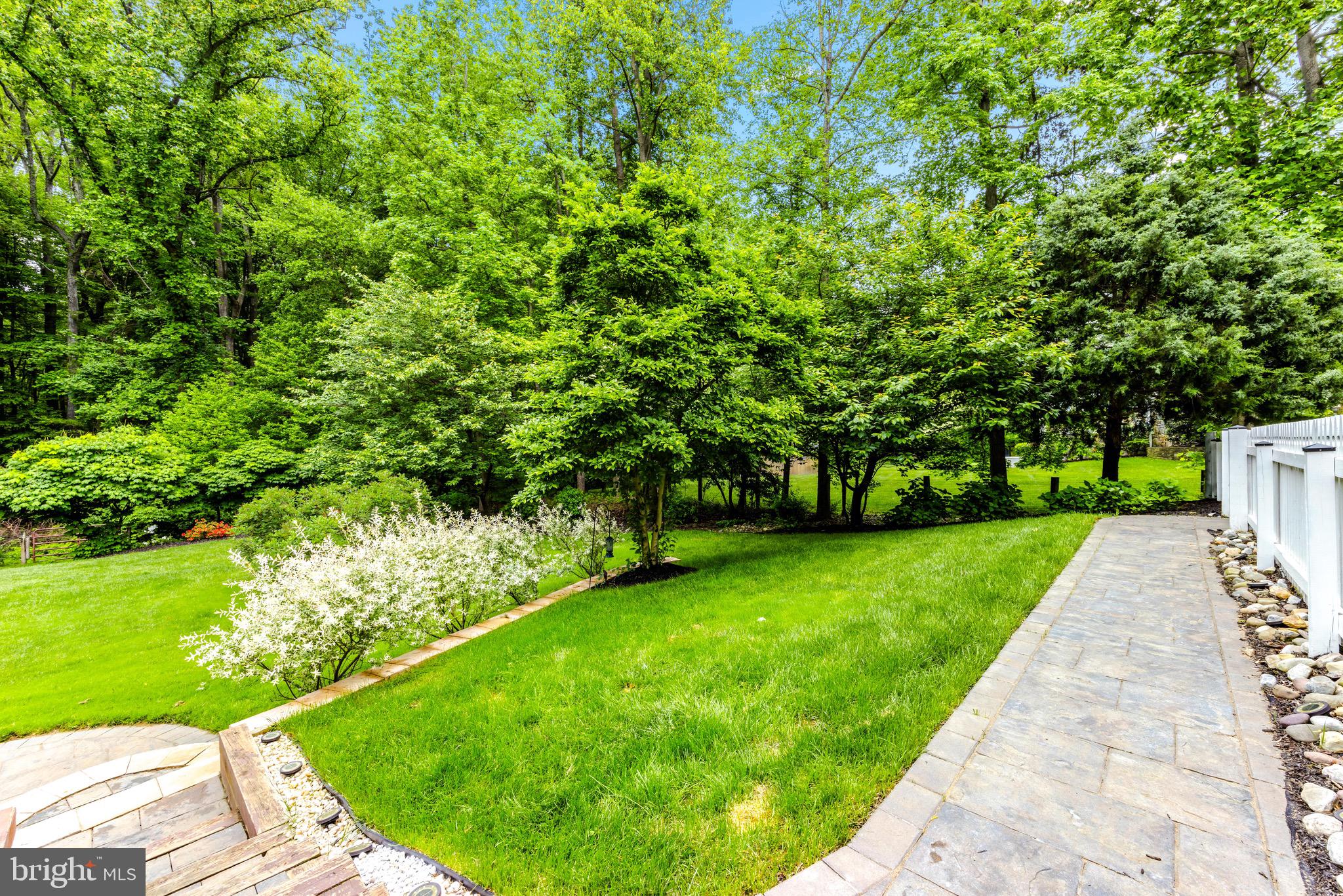 619 Dillon Ct