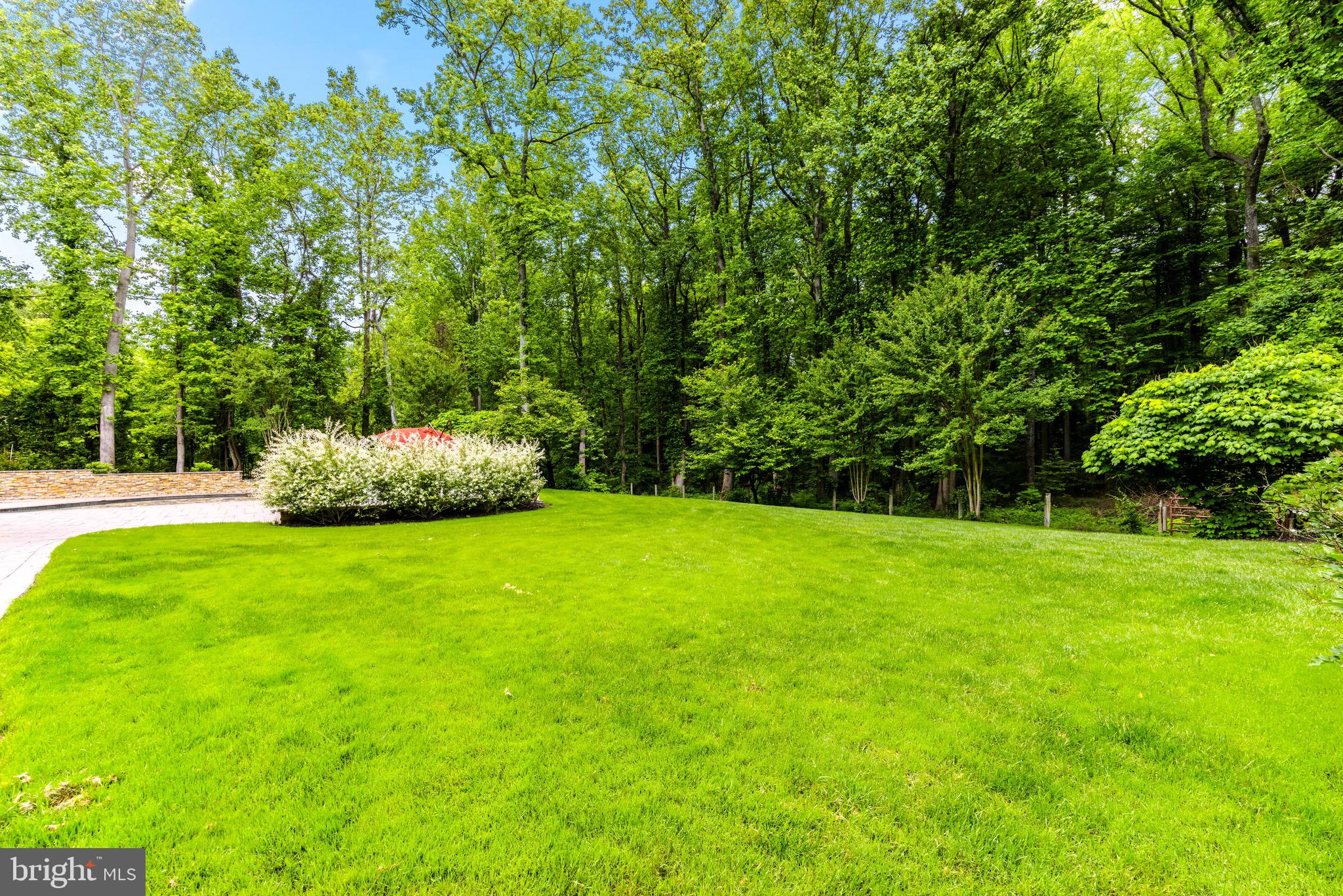 619 Dillon Ct