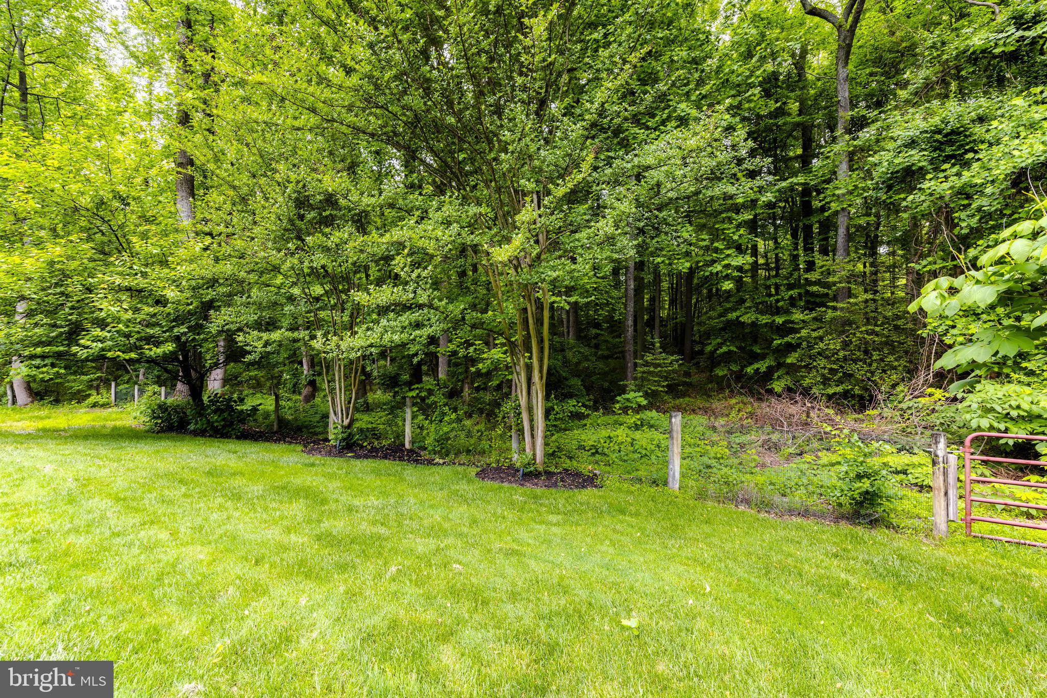 619 Dillon Ct