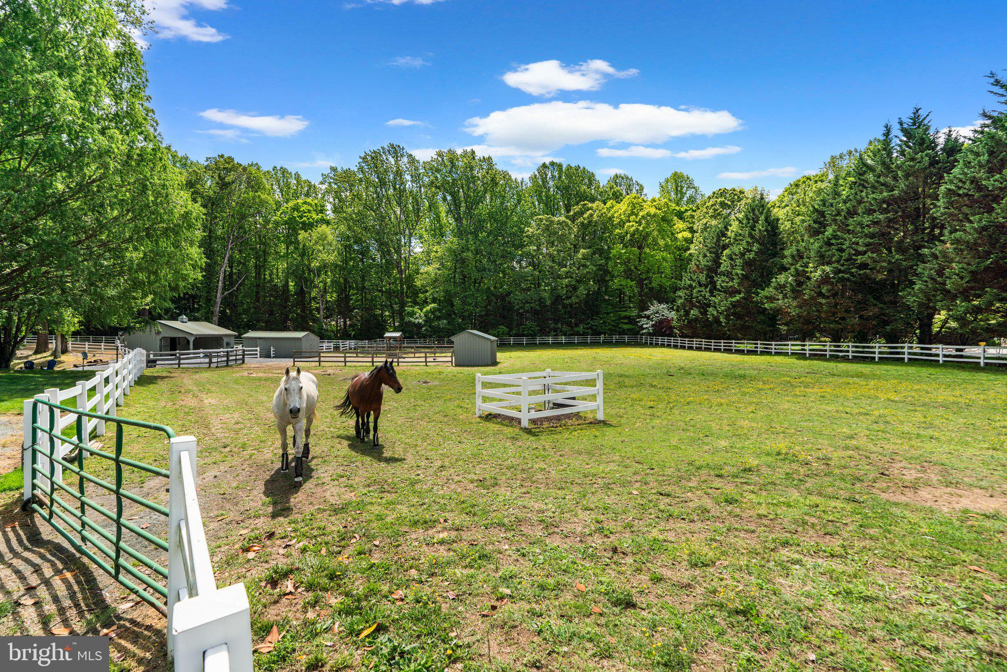2109 Puddingtons Patent Way
