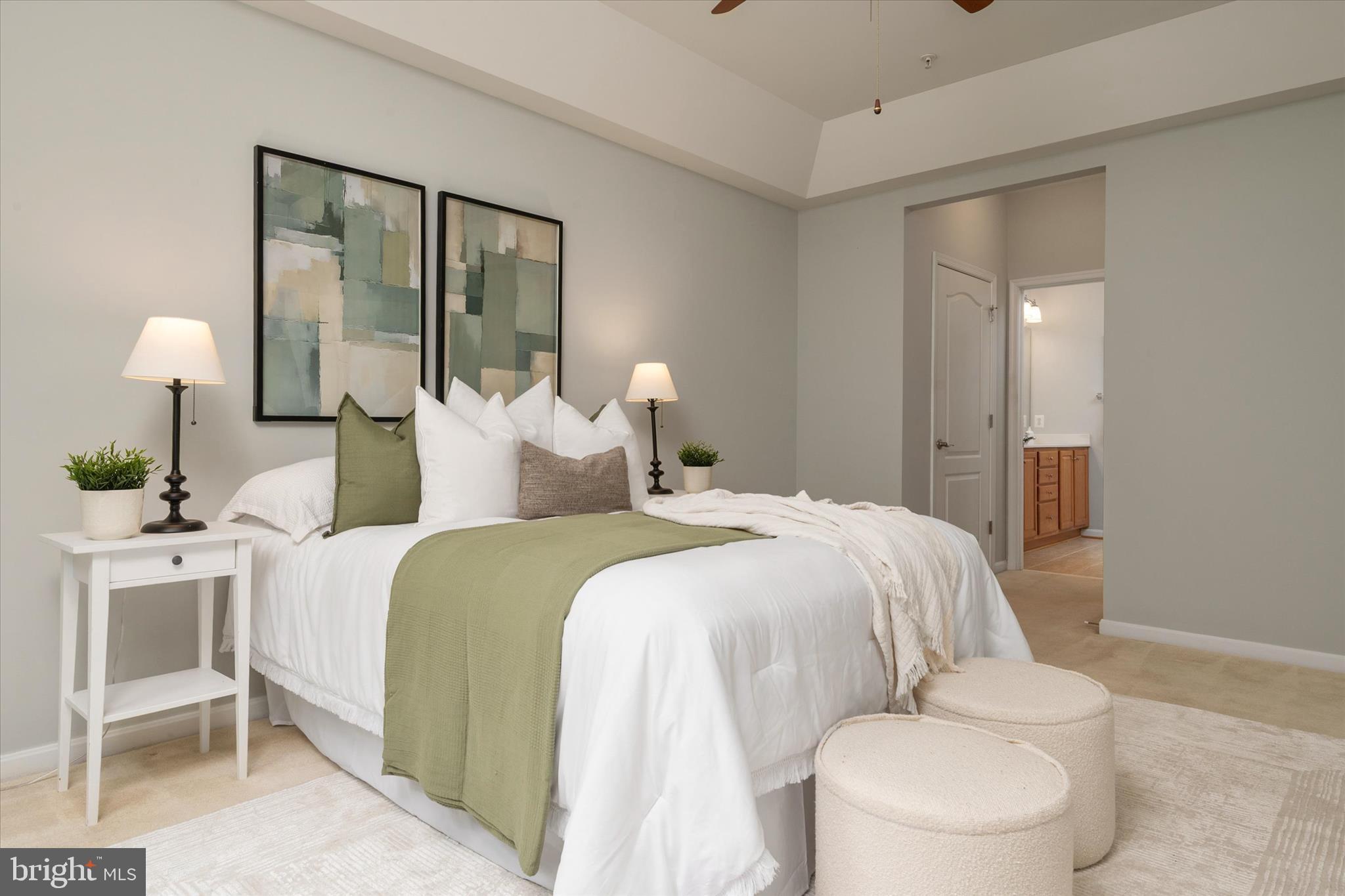 8603 WINTERGREEN COURT 106