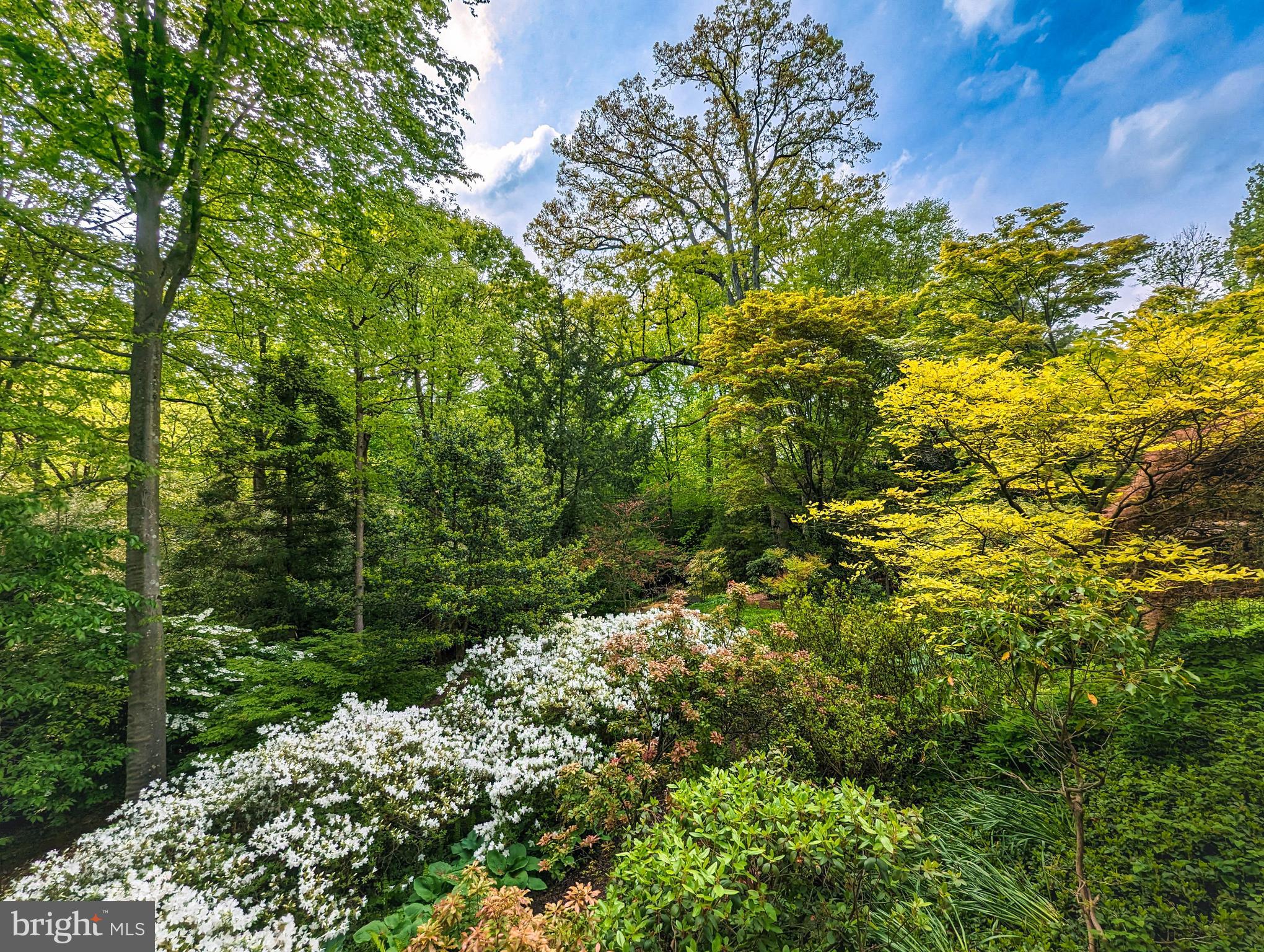 21 Blythewood Rd