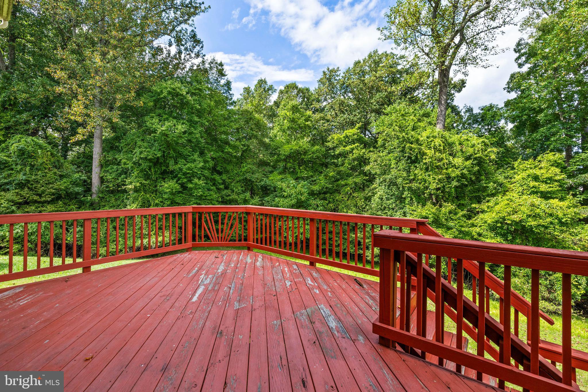 4218 SUMMER SHADE WAY