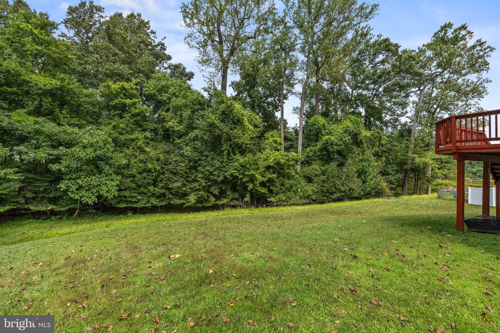 4218 SUMMER SHADE WAY