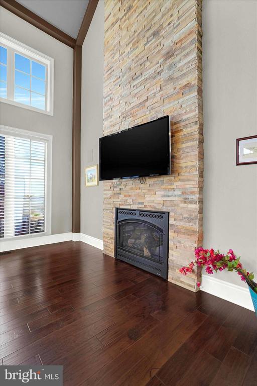 14507 Ventry Farm Ct