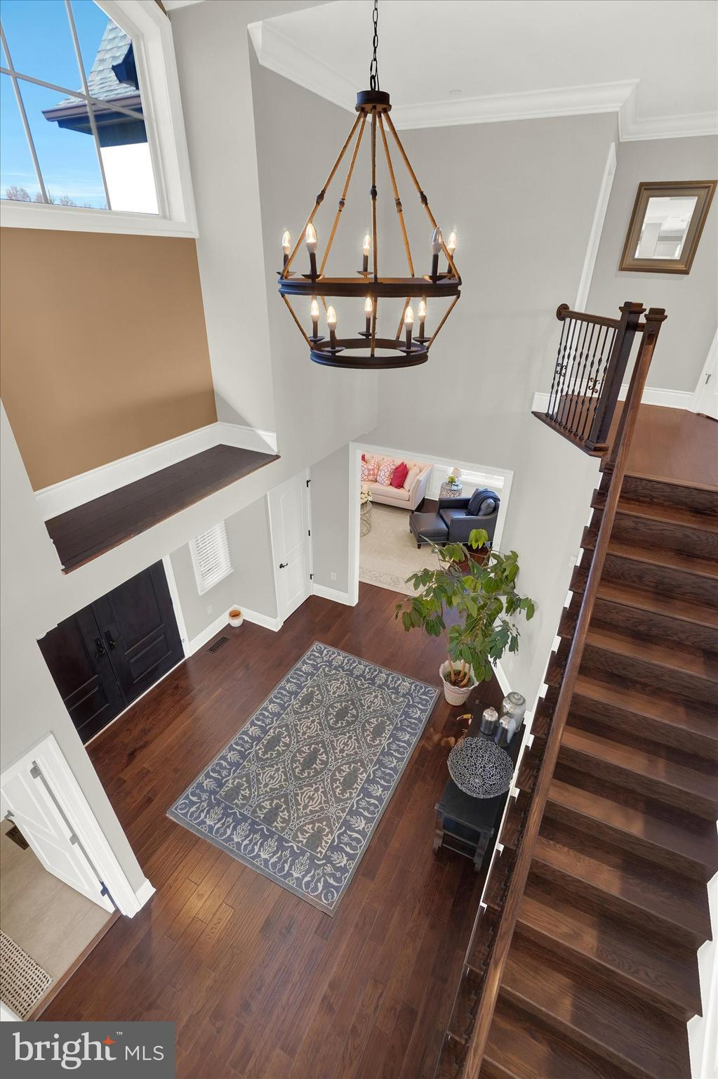 14507 Ventry Farm Ct