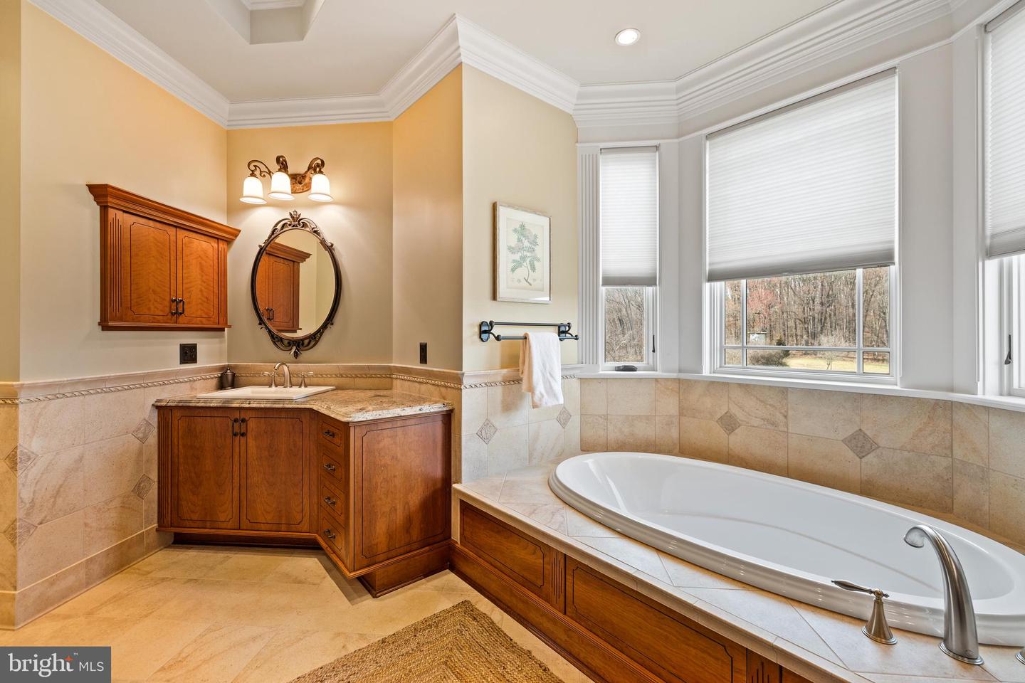 19118 Timothys Manor Ct