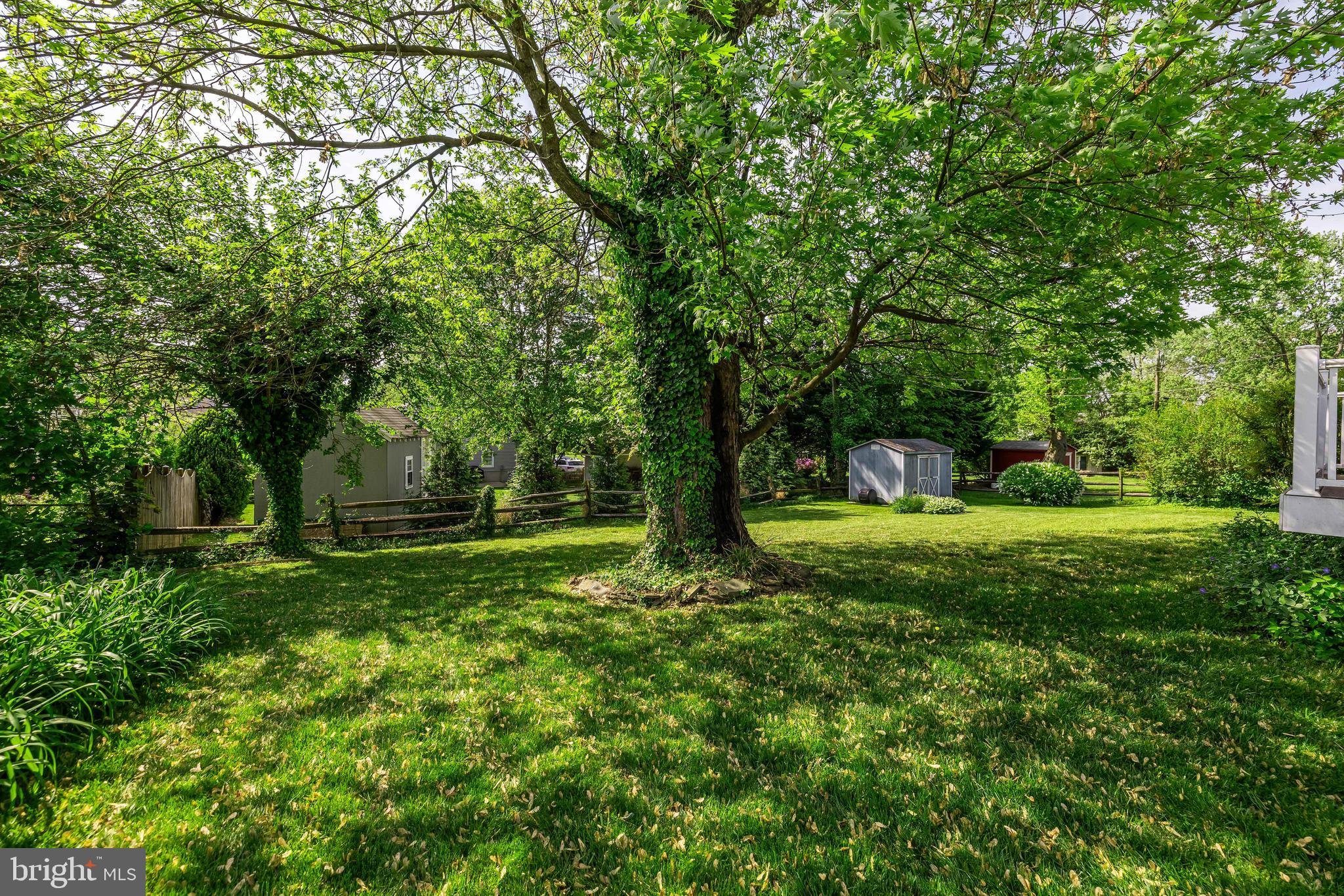 907 Jamieson Rd