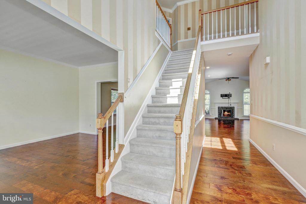 6 BLUELEAF COURT