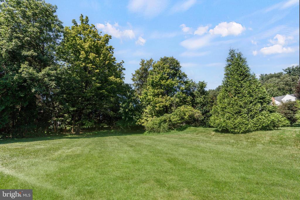 6 BLUELEAF COURT