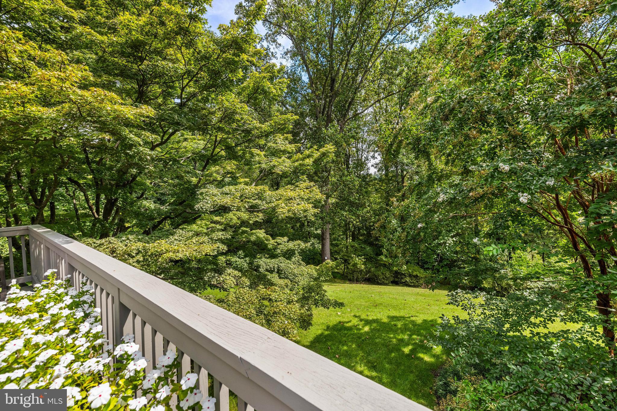 2413 STILL FOREST ROAD
