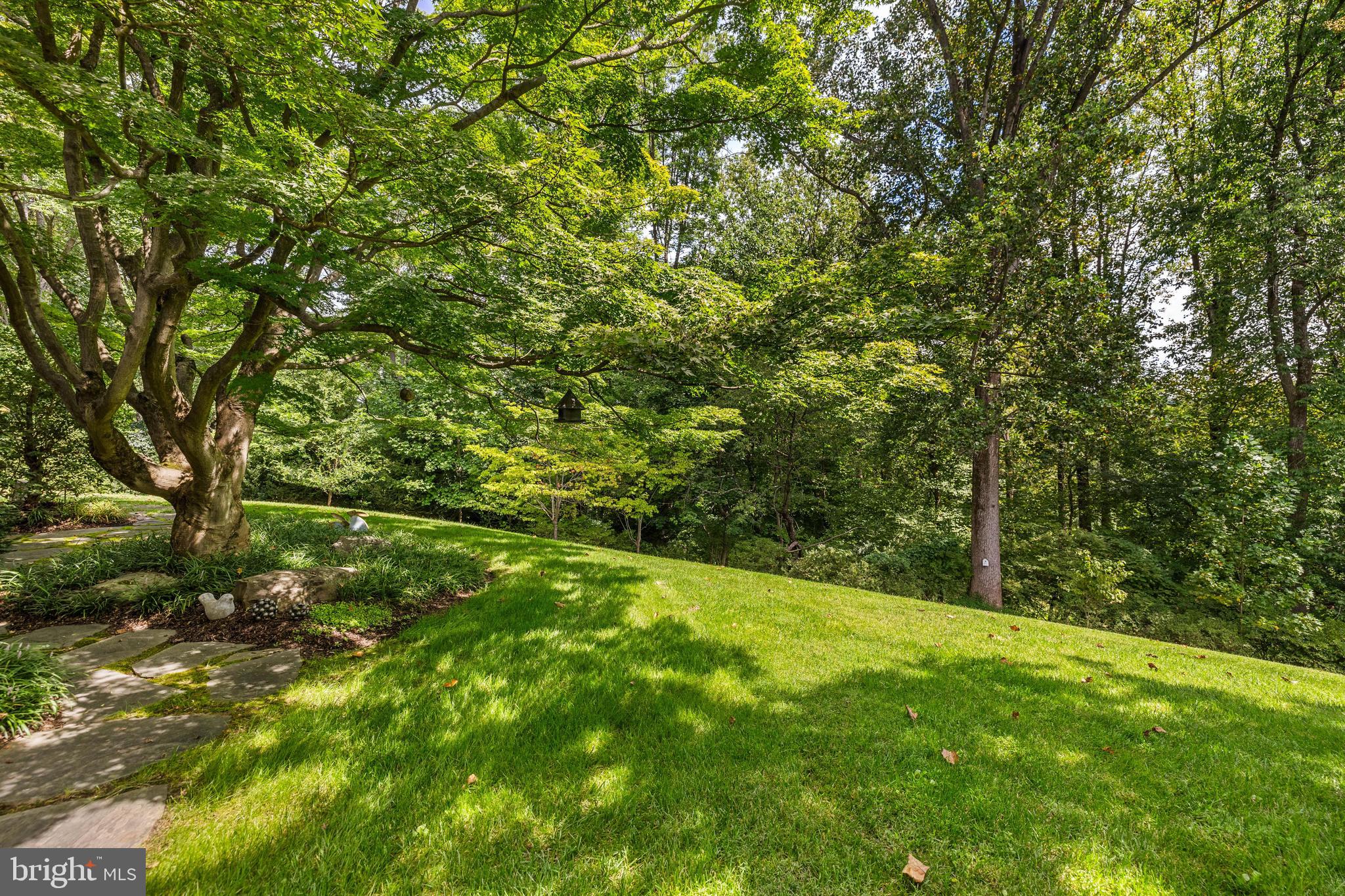2413 STILL FOREST ROAD