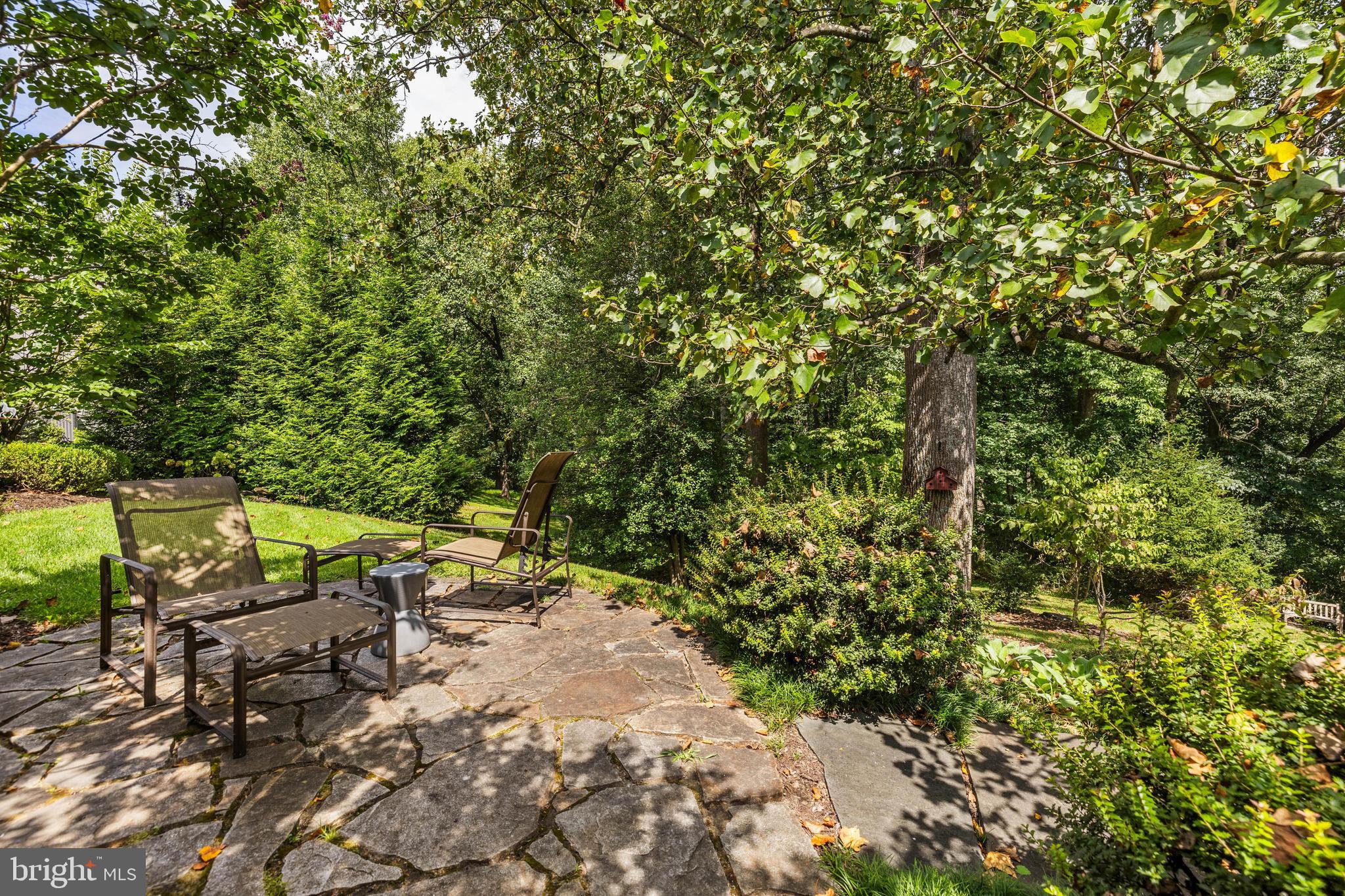 2413 STILL FOREST ROAD