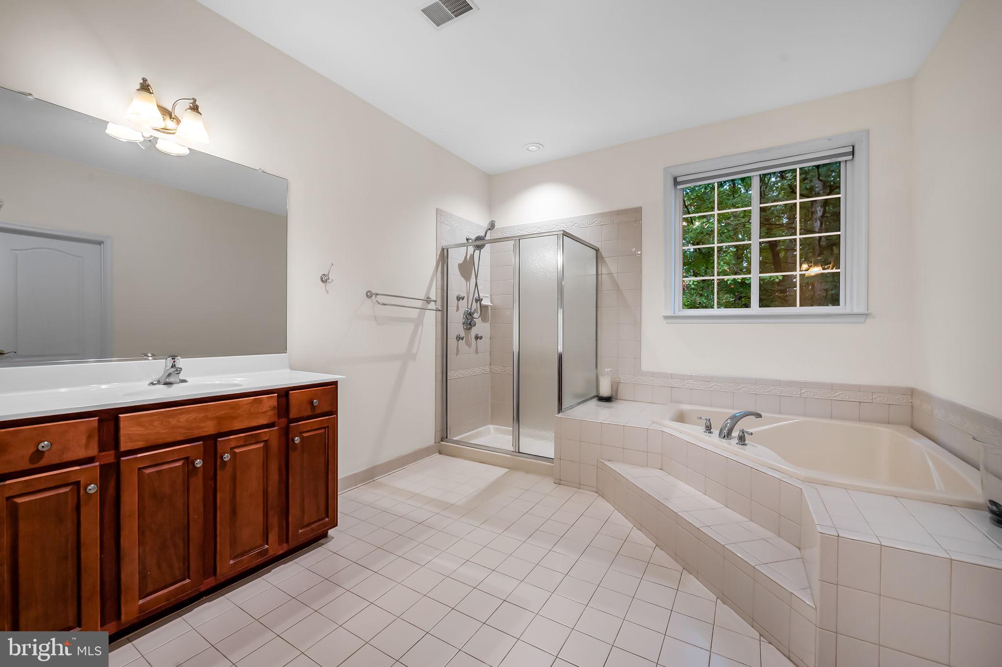 19110 TIMOTHYS MANOR COURT