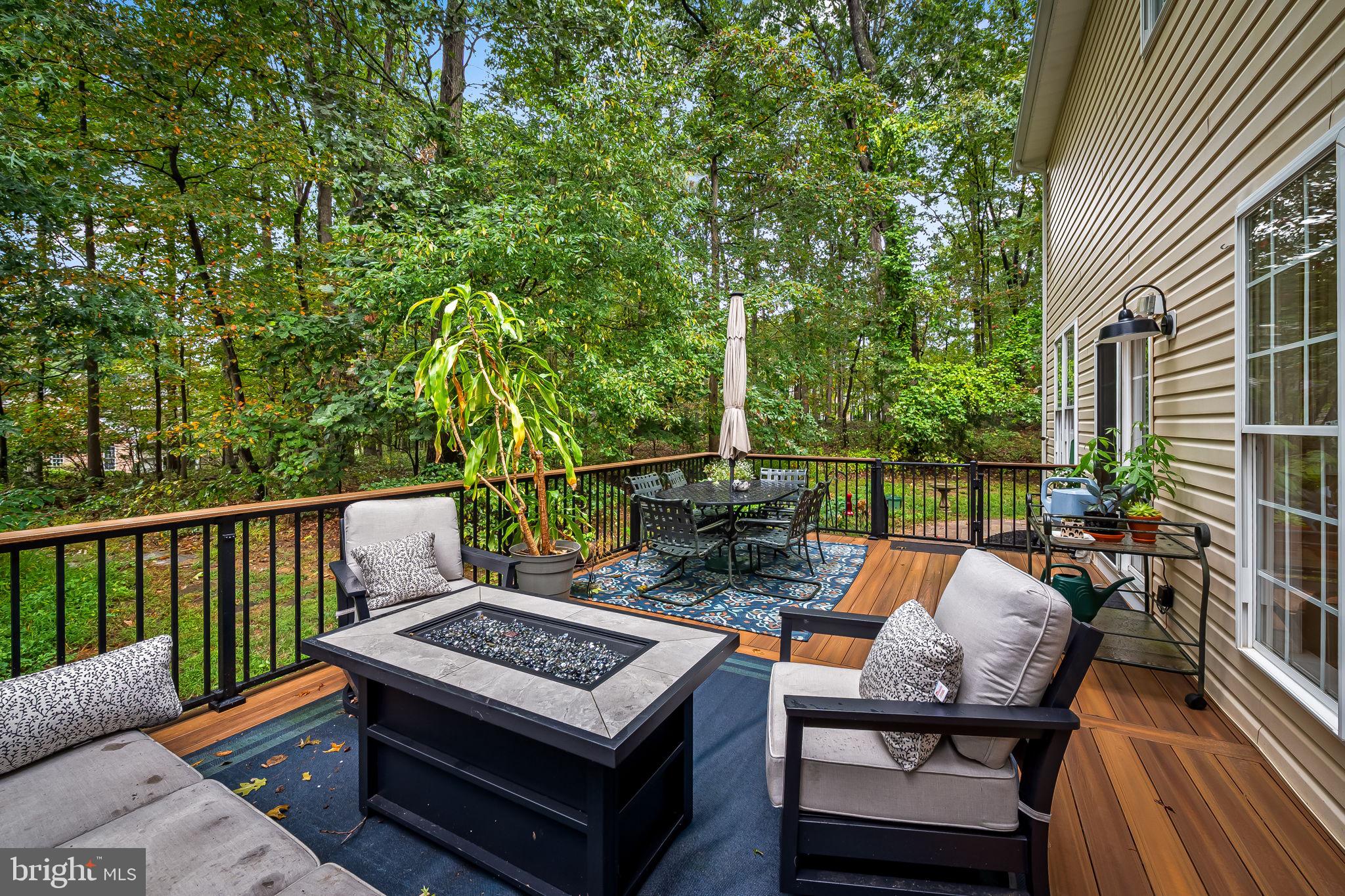 19110 TIMOTHYS MANOR COURT