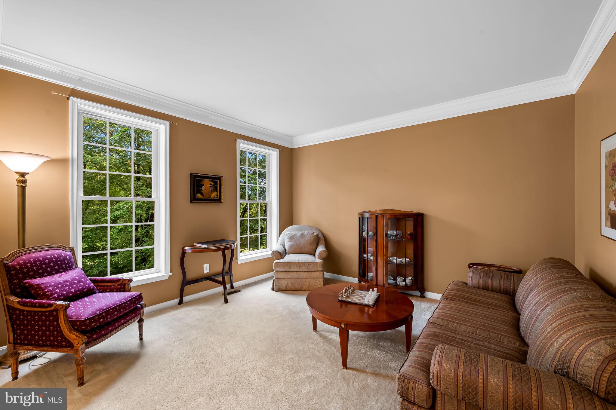 19110 TIMOTHYS MANOR COURT