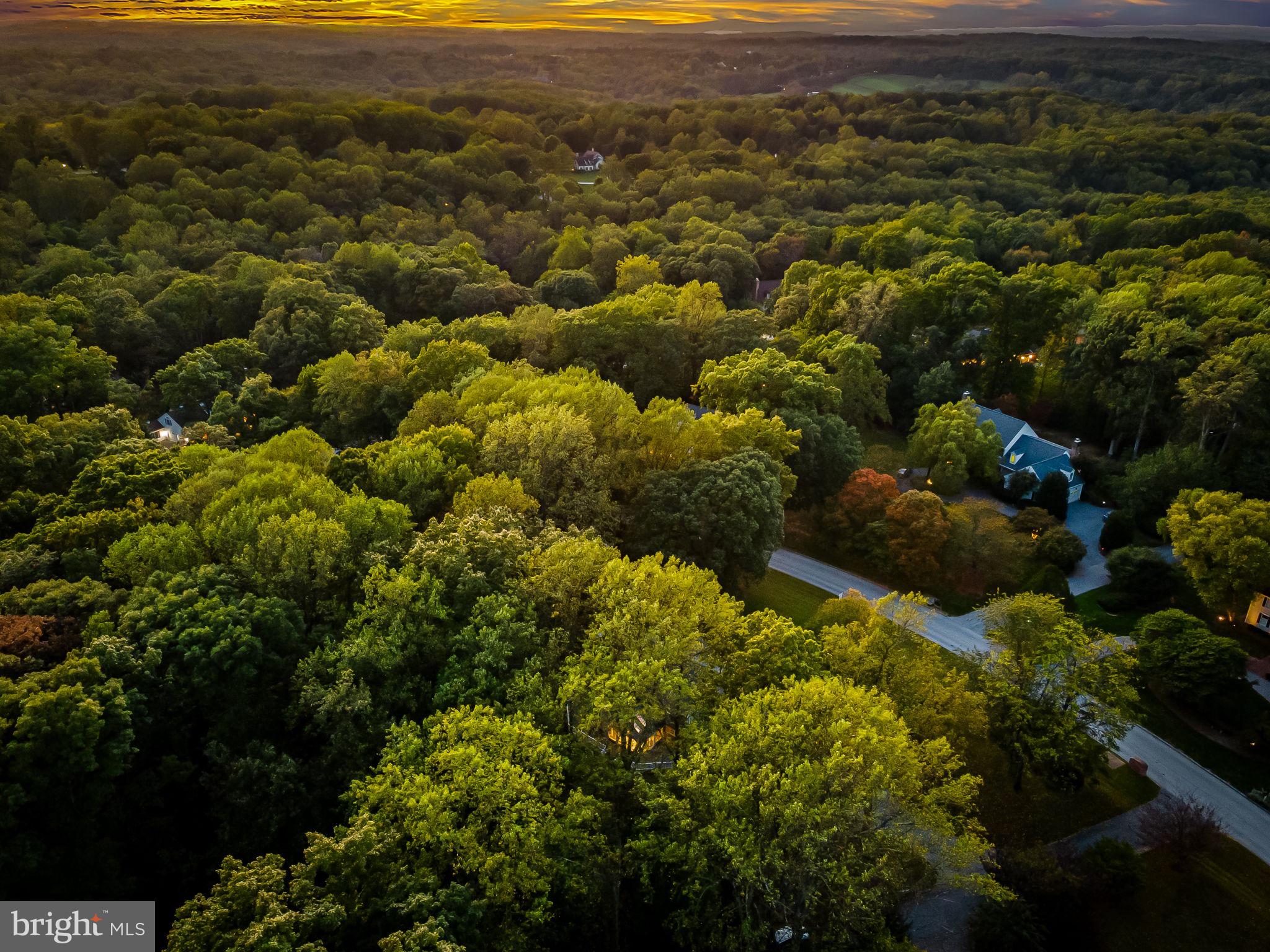 12303 MICHAELSFORD ROAD