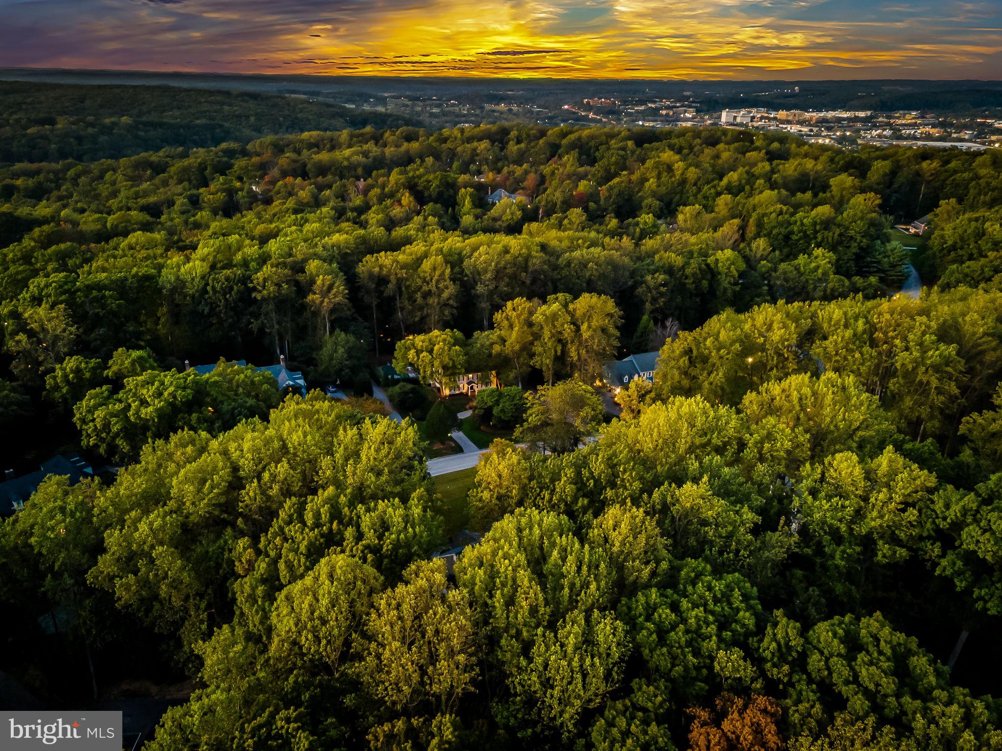 12303 MICHAELSFORD ROAD