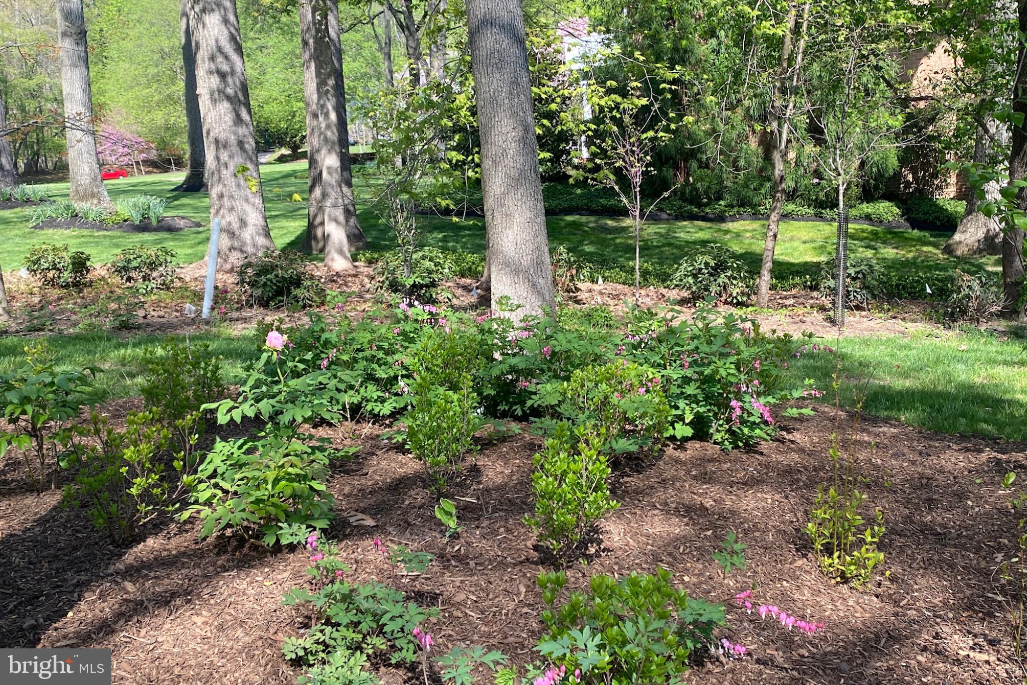 25 SPRINGHILL FARM COURT