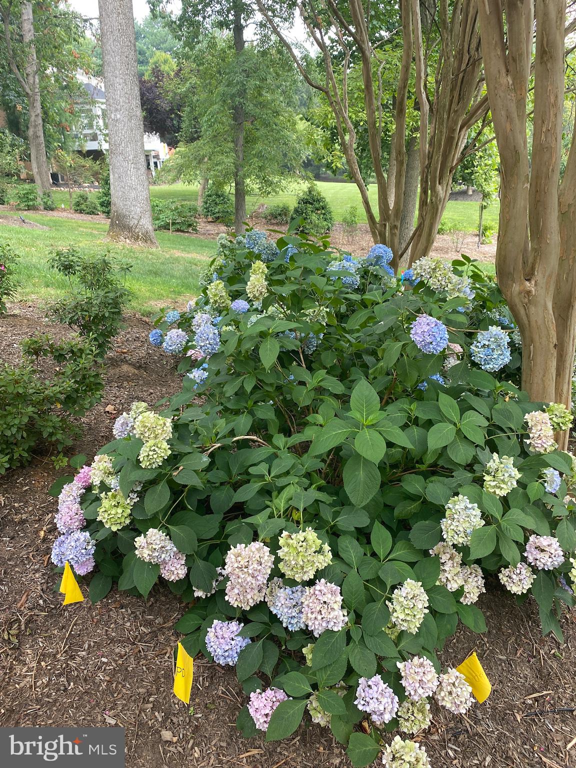 25 SPRINGHILL FARM COURT