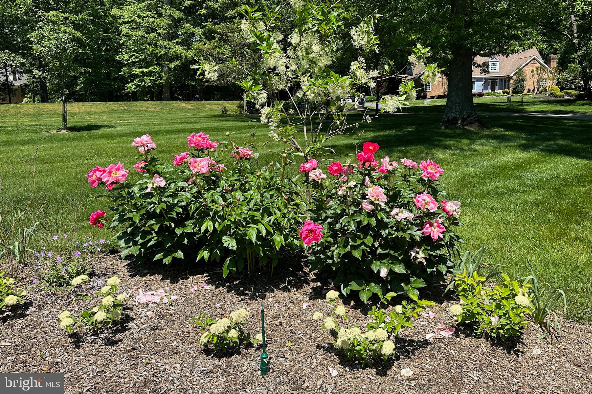 25 SPRINGHILL FARM COURT