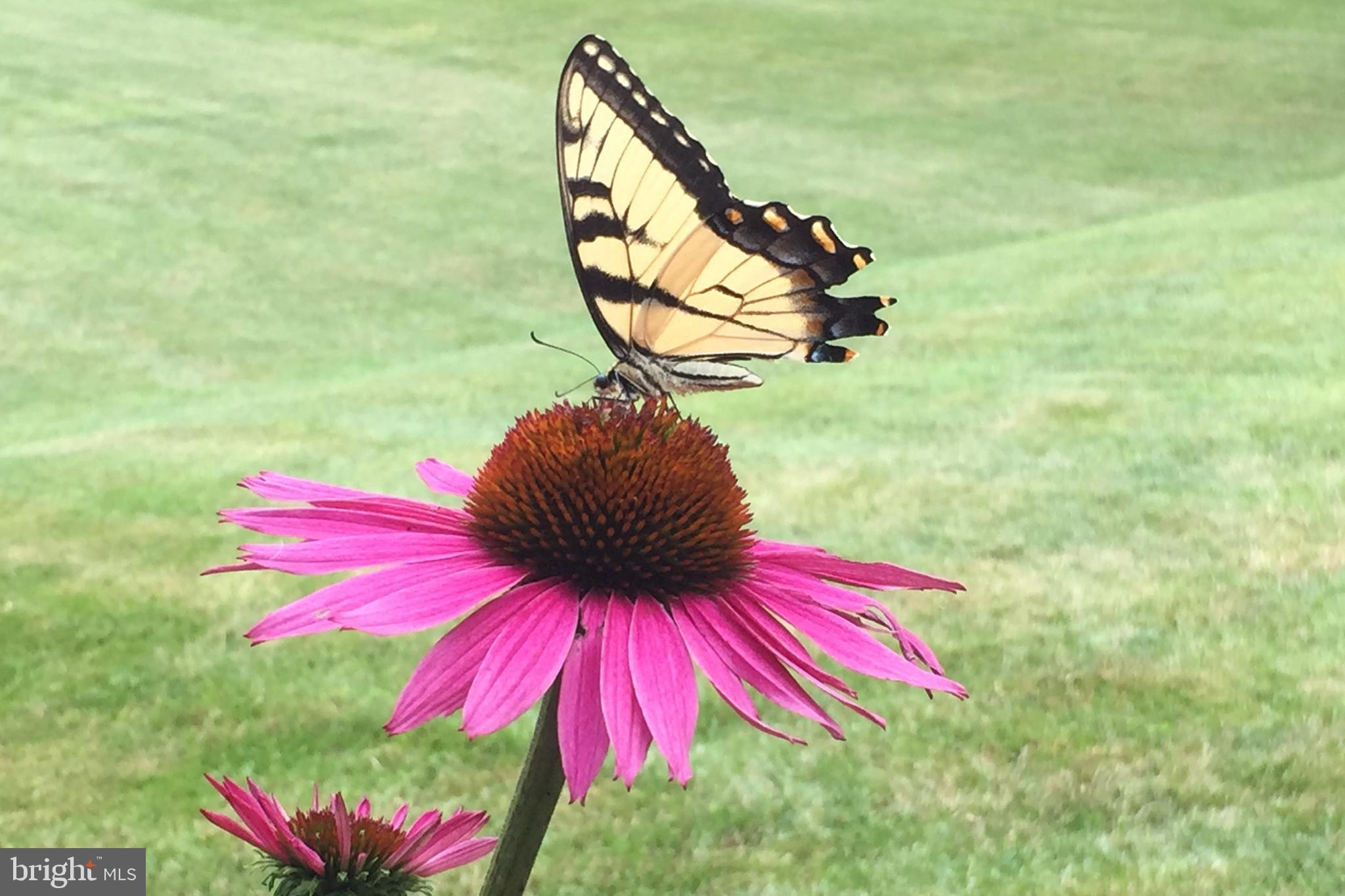 25 SPRINGHILL FARM COURT