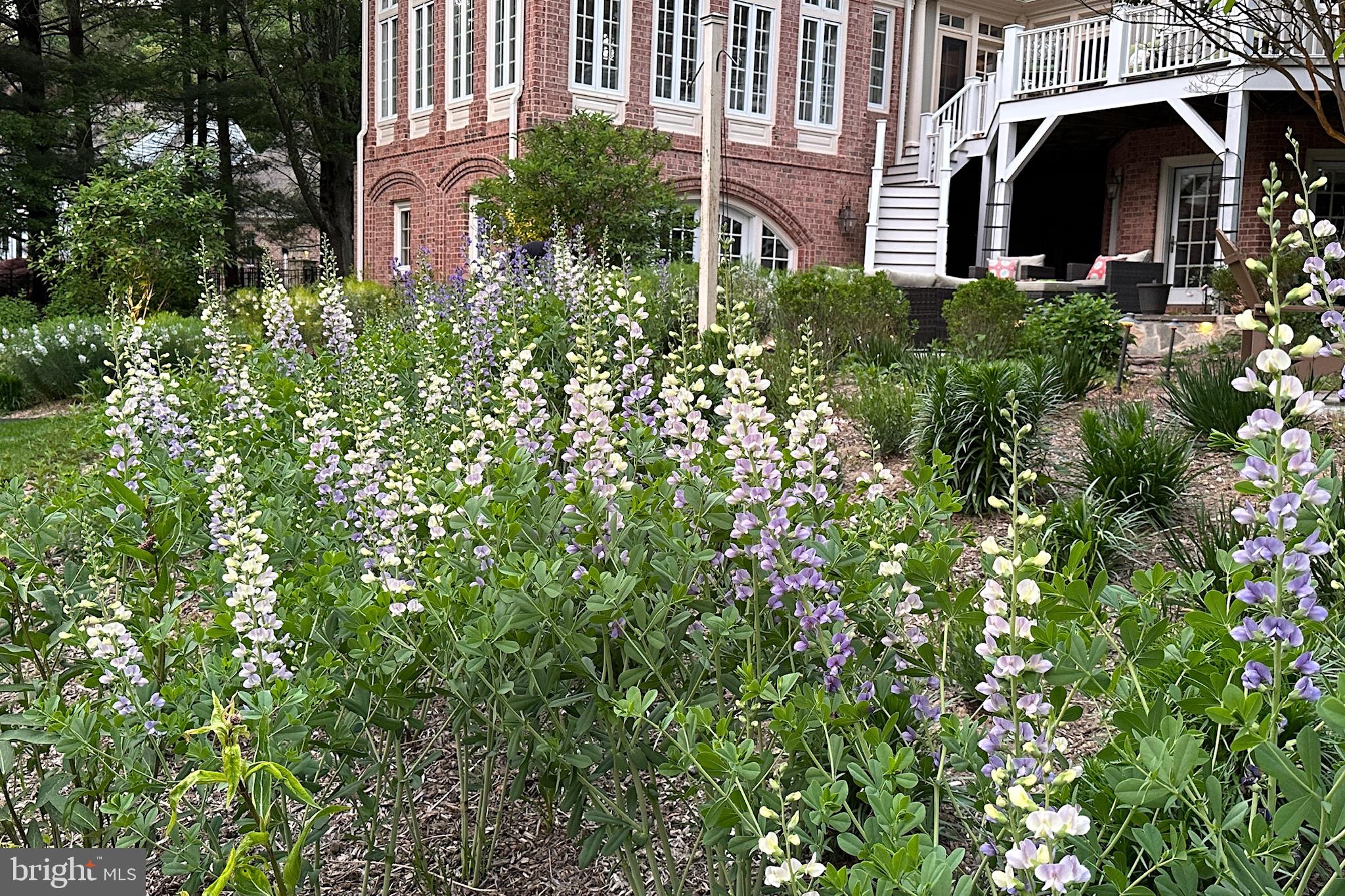 25 SPRINGHILL FARM COURT