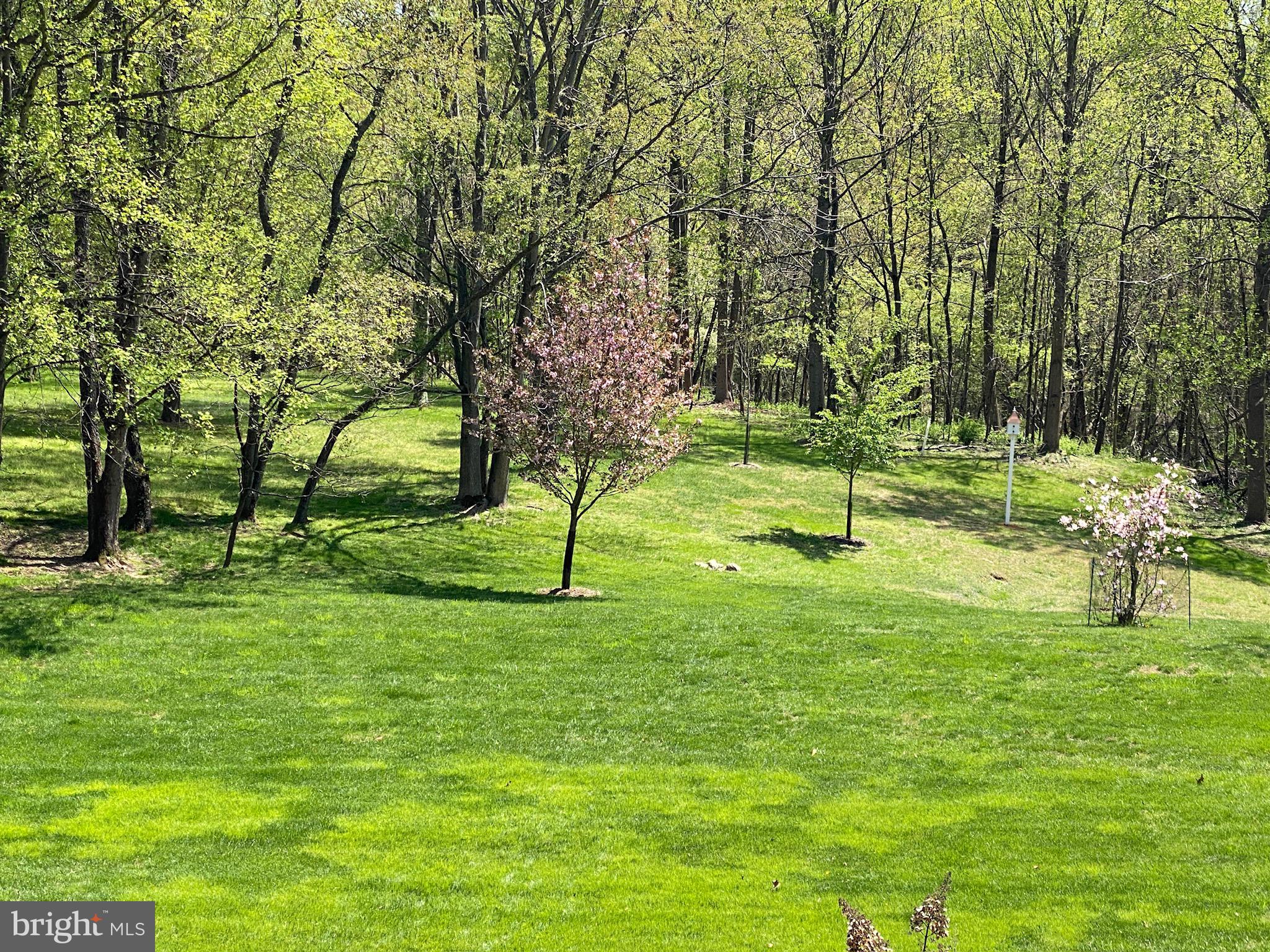 25 SPRINGHILL FARM COURT