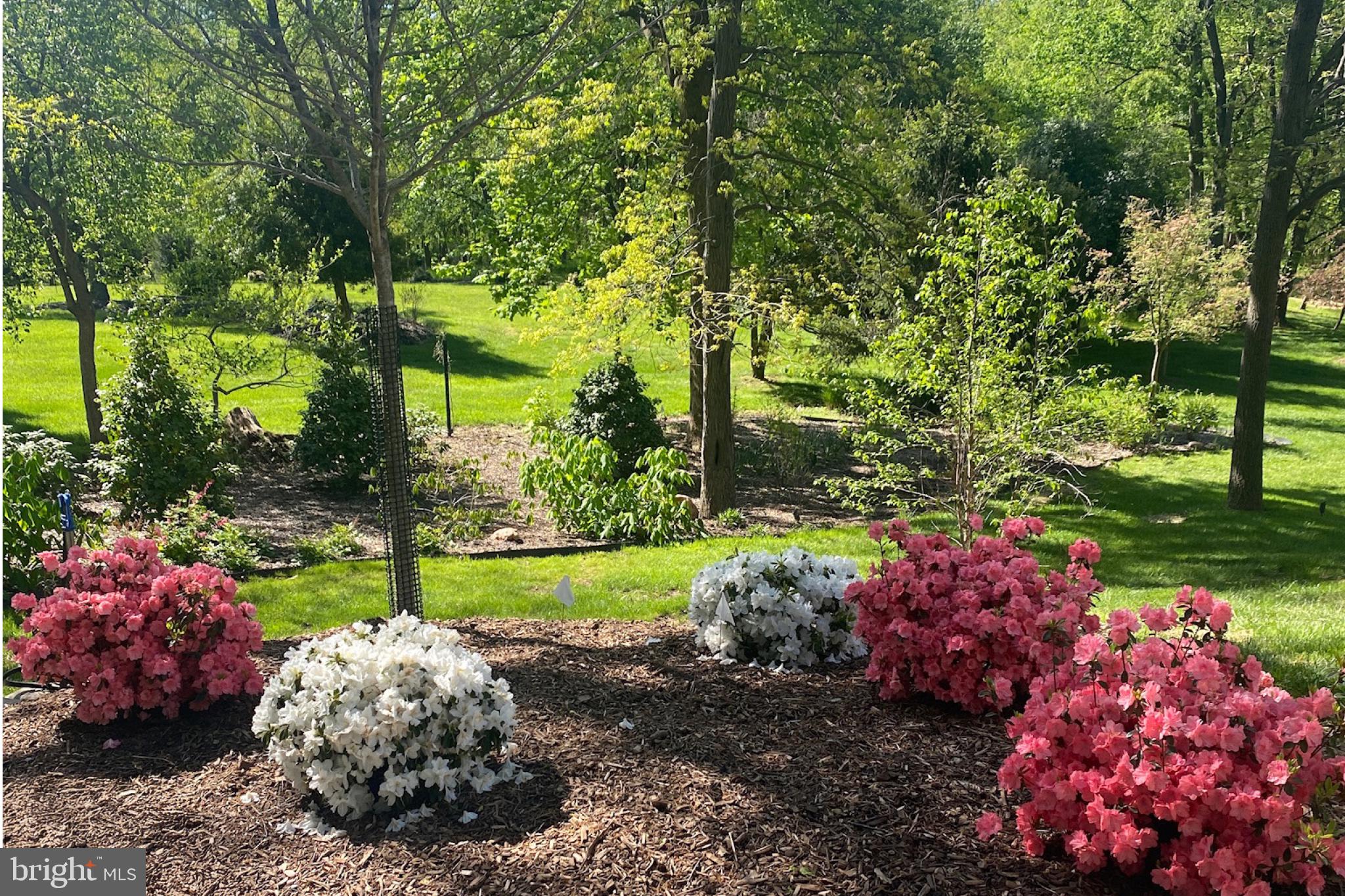 25 SPRINGHILL FARM COURT