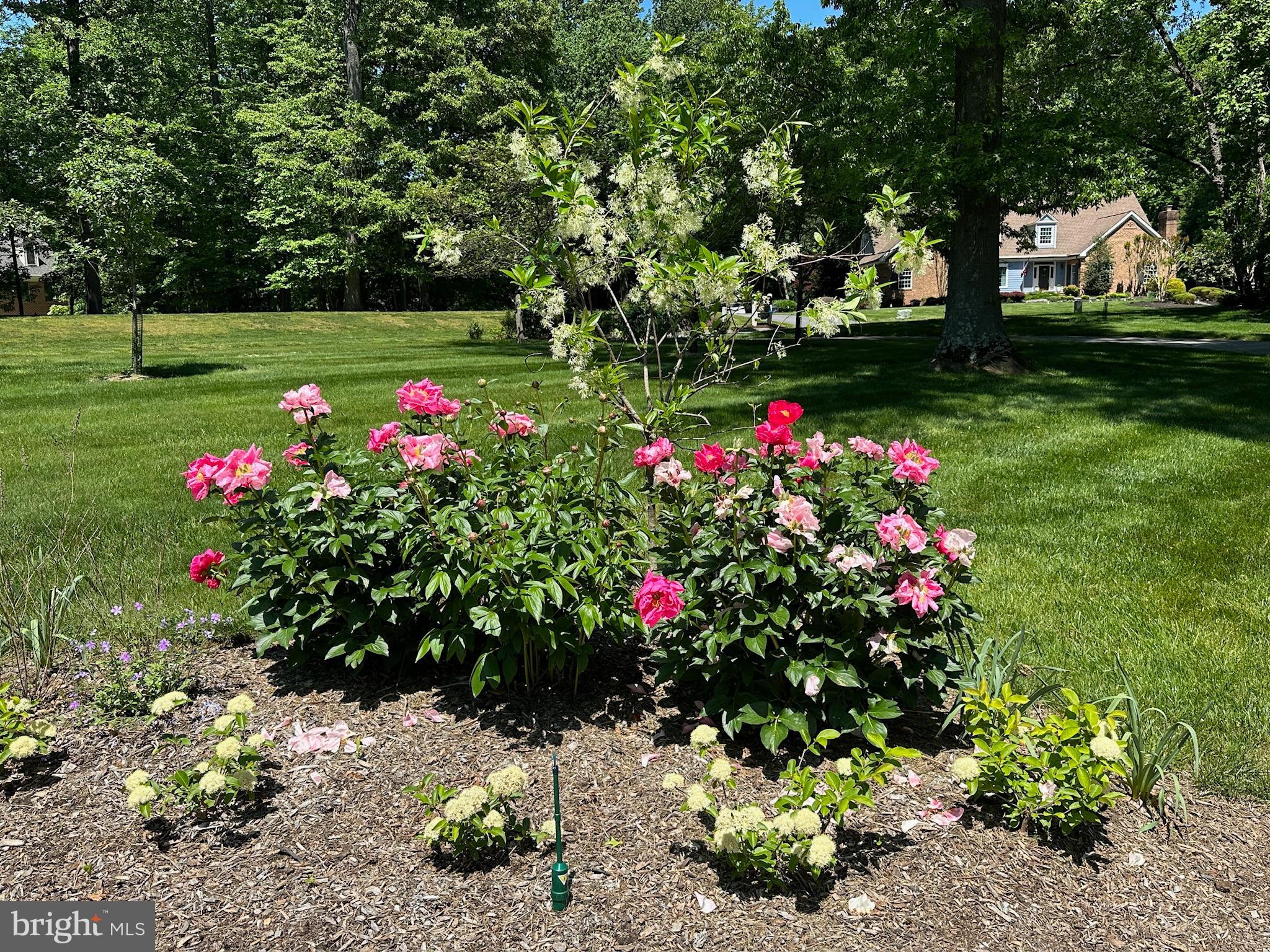 25 SPRINGHILL FARM COURT