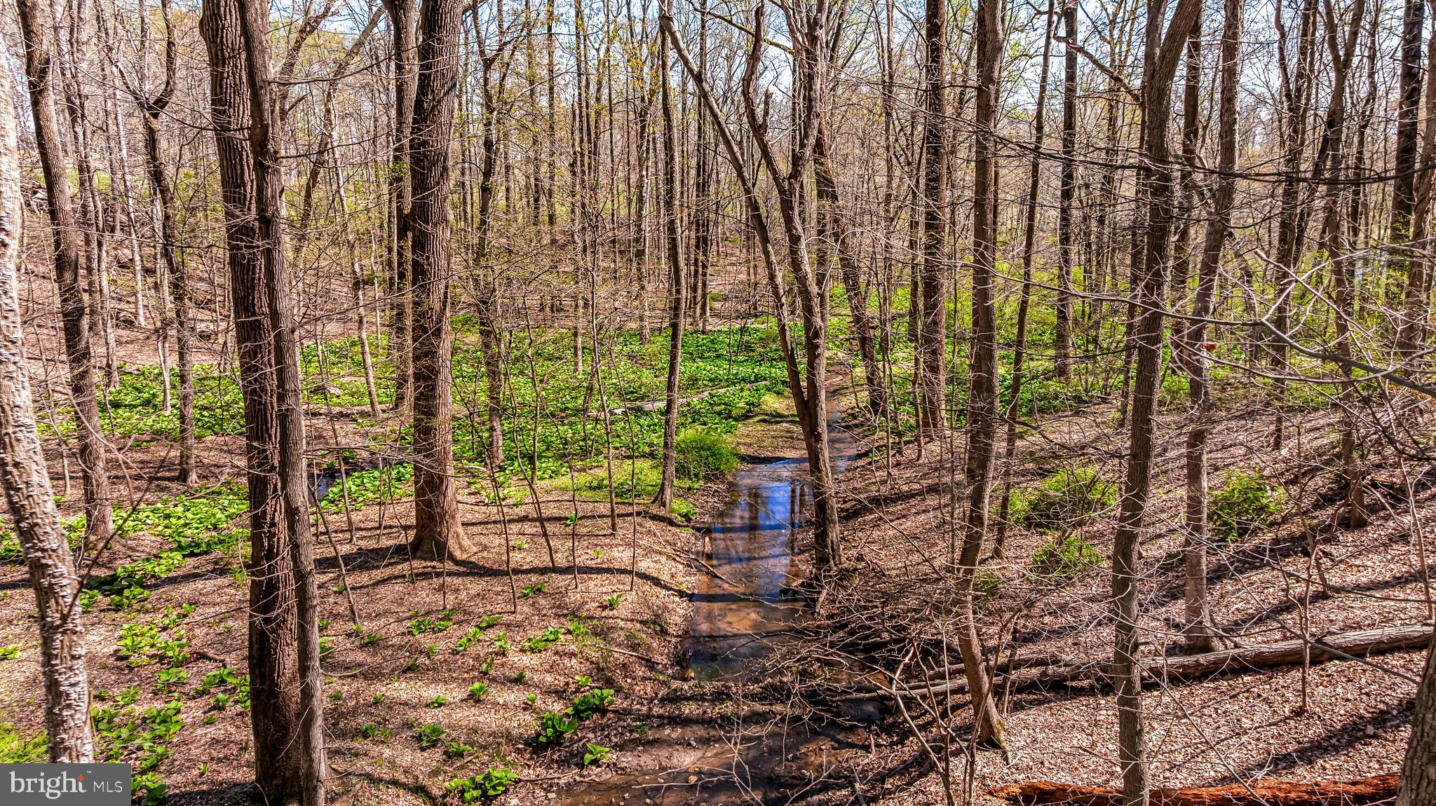 901 CHESTNUT RIDGE DRIVE