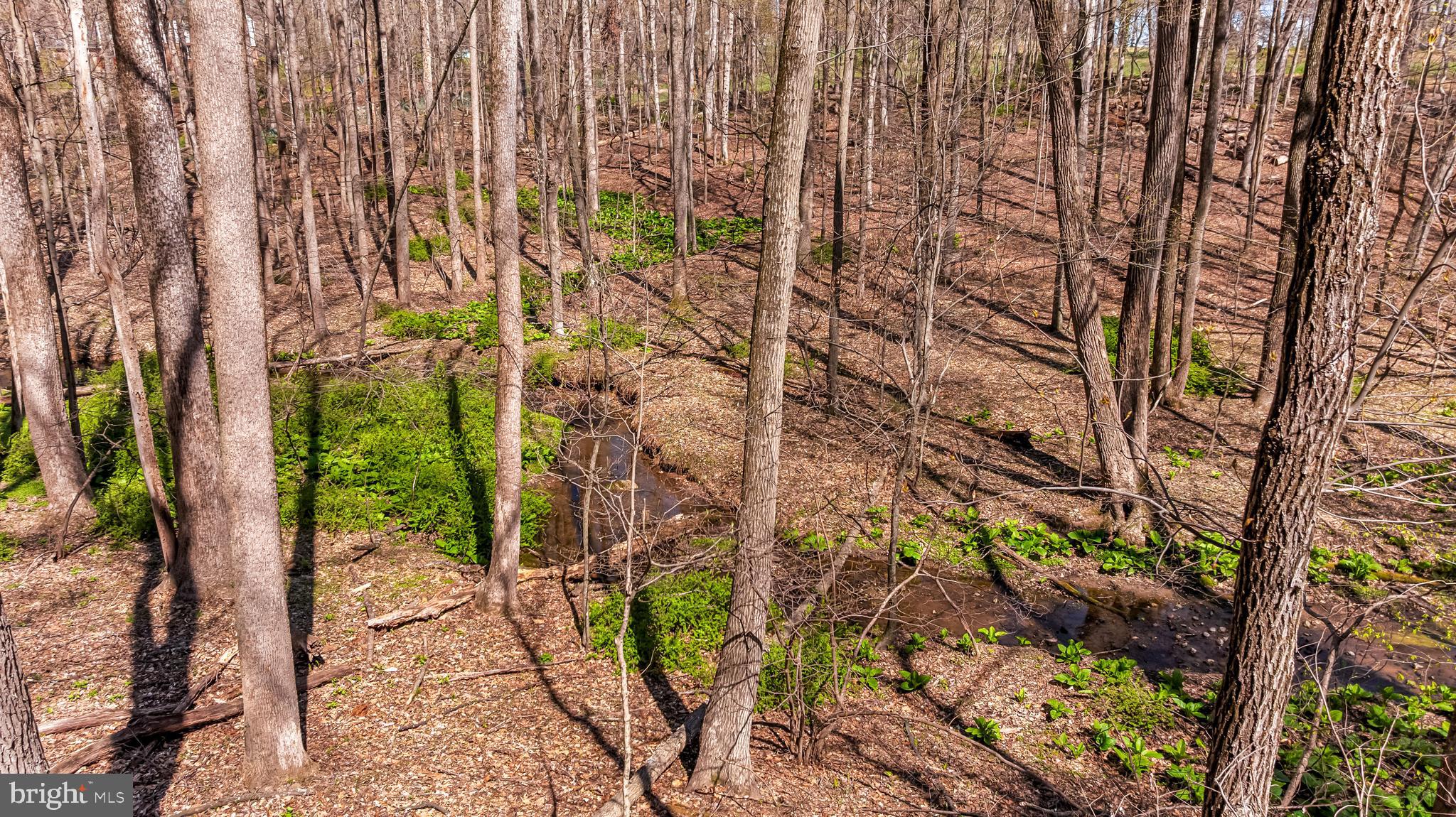 901 CHESTNUT RIDGE DRIVE