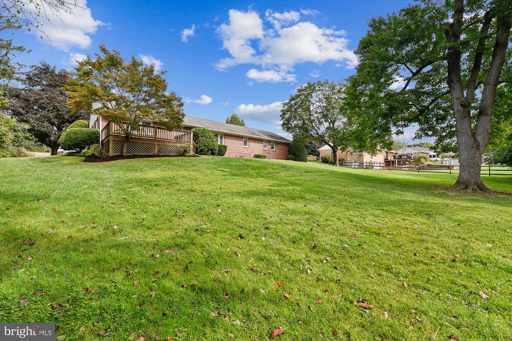 17 BONNIE AVENUE