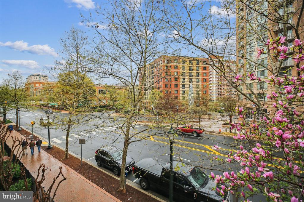 1201 E West Hwy #207