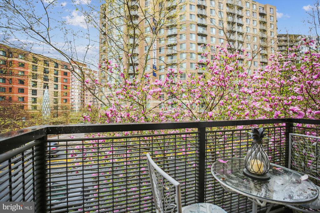1201 E West Hwy #207