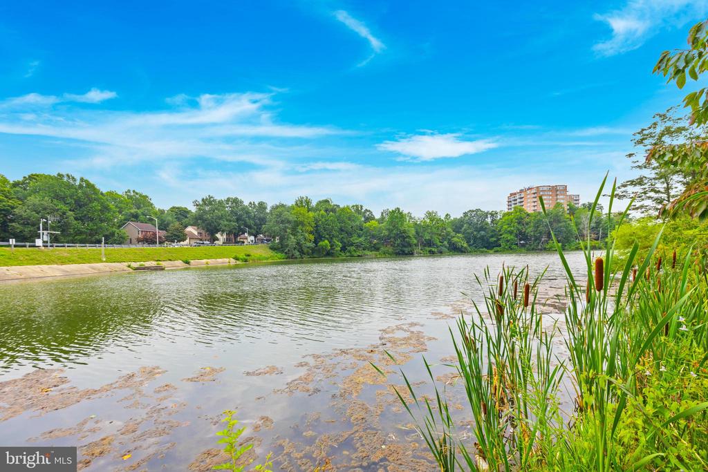 829 LAKE SHORE DRIVE